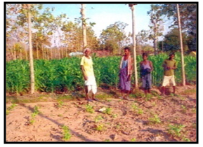 Shri Ratiram Yadav